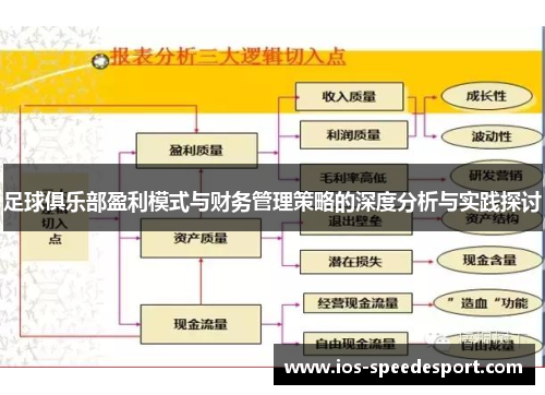 足球俱乐部盈利模式与财务管理策略的深度分析与实践探讨
