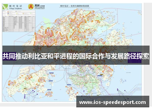 共同推动利比亚和平进程的国际合作与发展路径探索