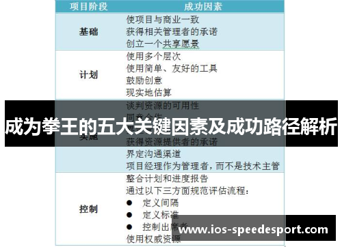 成为拳王的五大关键因素及成功路径解析