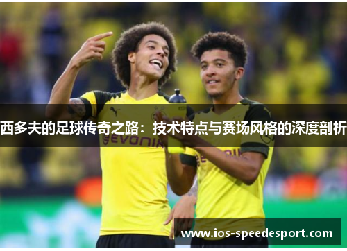 西多夫的足球传奇之路：技术特点与赛场风格的深度剖析