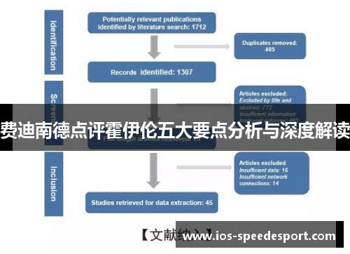 费迪南德点评霍伊伦五大要点分析与深度解读 费迪南德点评霍伊伦五大要点分析与深度解读