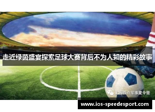 走近绿茵盛宴探索足球大赛背后不为人知的精彩故事