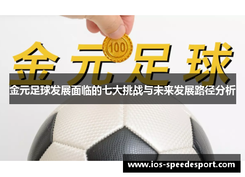 金元足球发展面临的七大挑战与未来发展路径分析 金元足球发展面临的七大挑战与未来发展路径分析