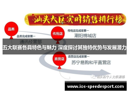 五大联赛各具特色与魅力 深度探讨其独特优势与发展潜力 五大联赛各具特色与魅力 深度探讨其独特优势与发展潜力